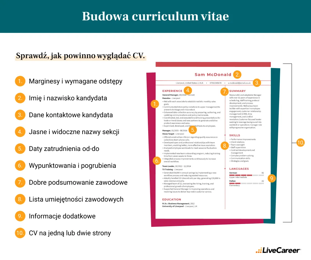 curriculum vitae