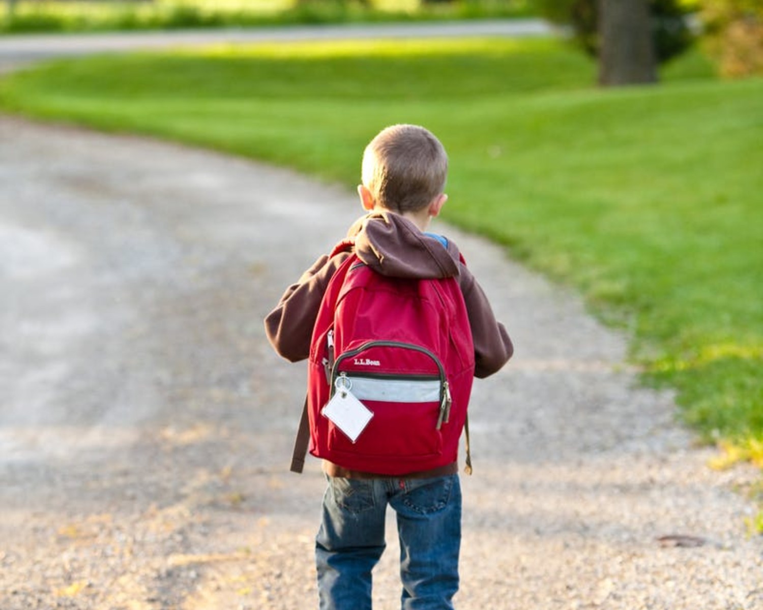 Cóż tam, Panie, w edukacji? Badanie Polaków