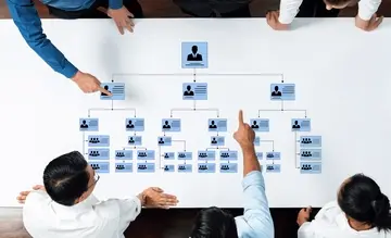 Struktura organizacyjna firmy: co to? Rodzaje i opis