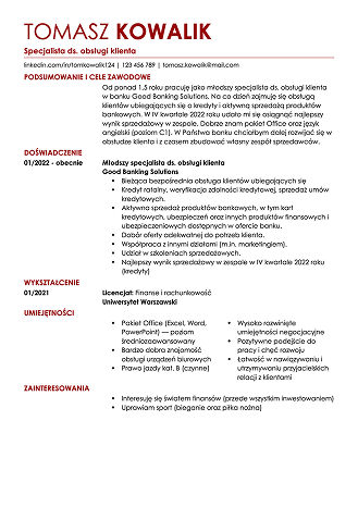 ptofesjonalny szablon cv