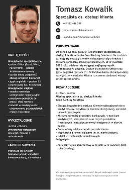 profesjonalne cv