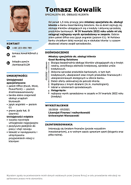profesjonalne cv wzór