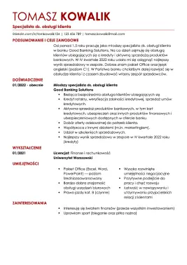 profesjonalny szablon cv