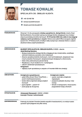 cv profesjonalne wzór
