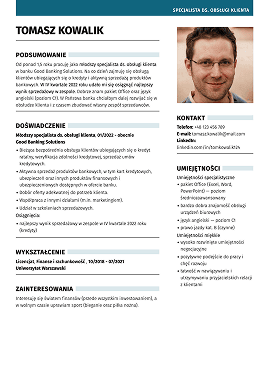 profesjonalne cv szablon
